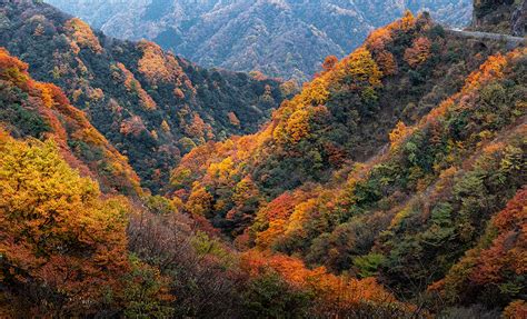 光霧山景區電話多少，我們可以從不同的角度來探討這個問題。首先，考慮到景區規模的大小，電話號碼可能會有所不同。其次，景區是否提供多種語言服務也是一個需要考慮的因素。再者，考慮到景區的客流量，電話服務可能在不同時段會有不同的接通率。最後，如果景區是提供自助遊覽體驗，電話服務可能是個不錯的溝通方式。