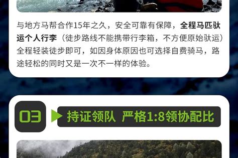 日上會員怎麼開通？從多個角度探討其開通流程與注意事項